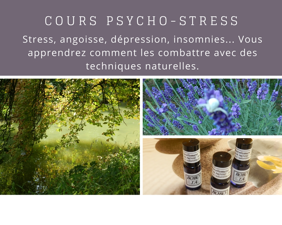 Cours Psycho-Stress : Naturopathie, Homéopathie, Huiles essentielles ...