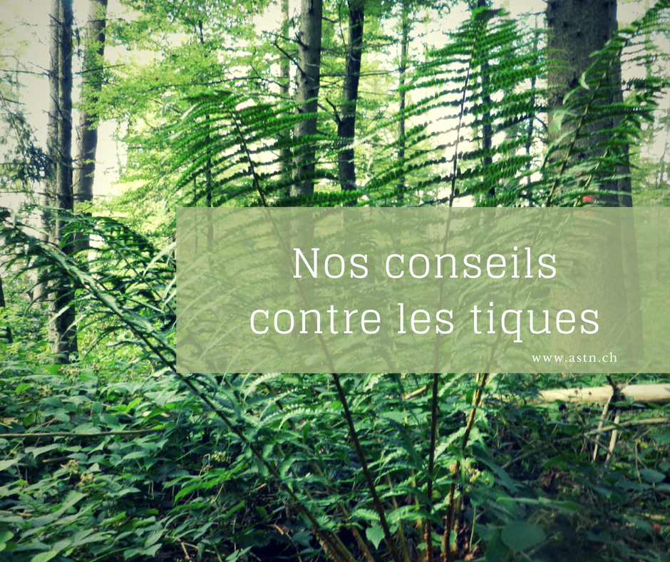 Nos conseils contre les tiques