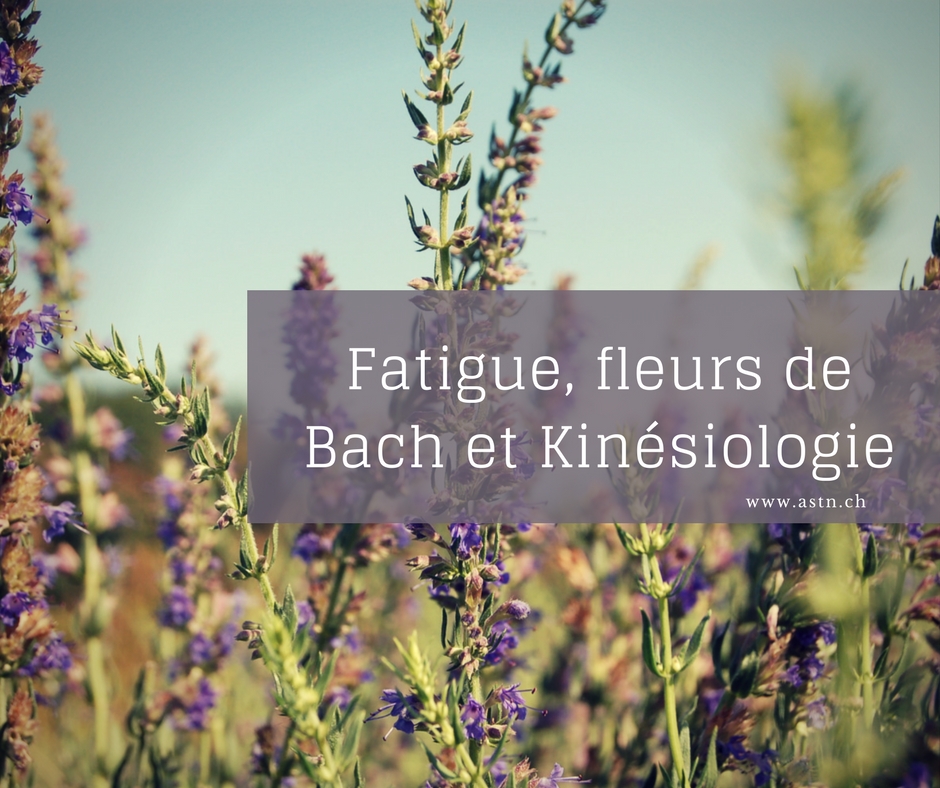 Fatigue, Fleurs de bach et kinésiologie