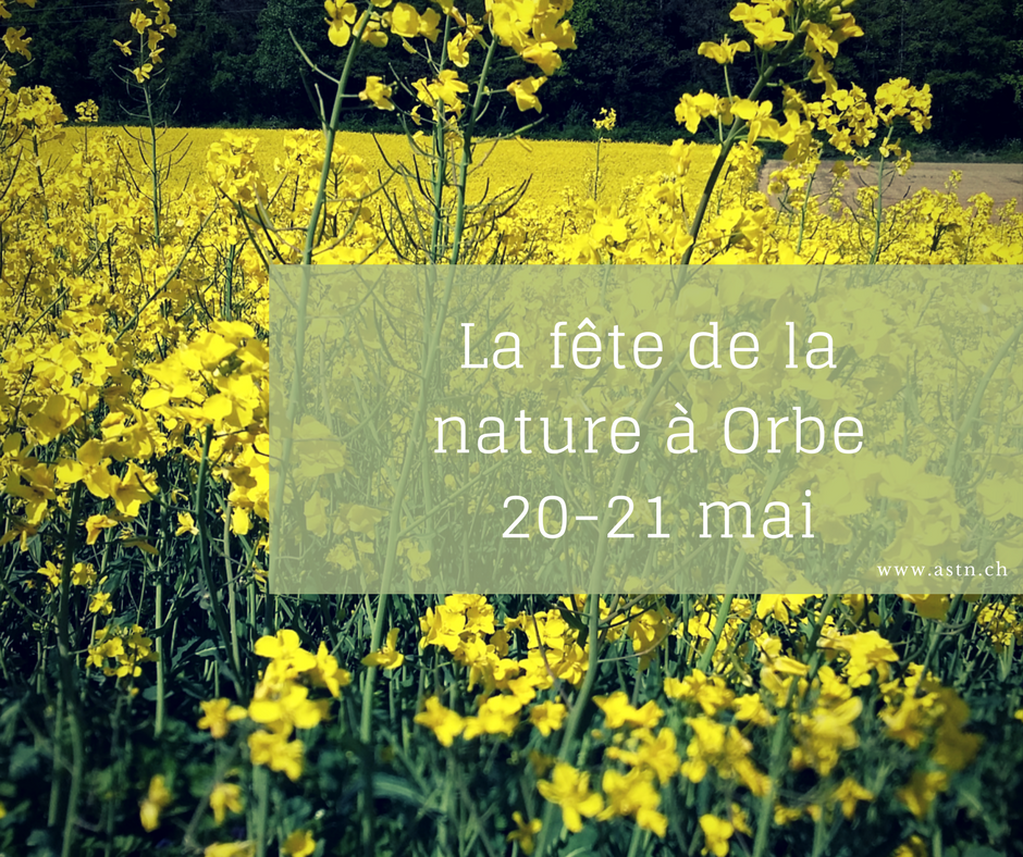 La fête de la nature 2017 à Orbe