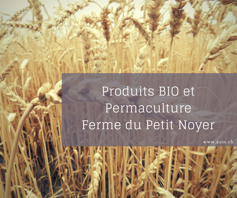 Produits BIO et permaculture Ferme Petit Noyer à Suchy