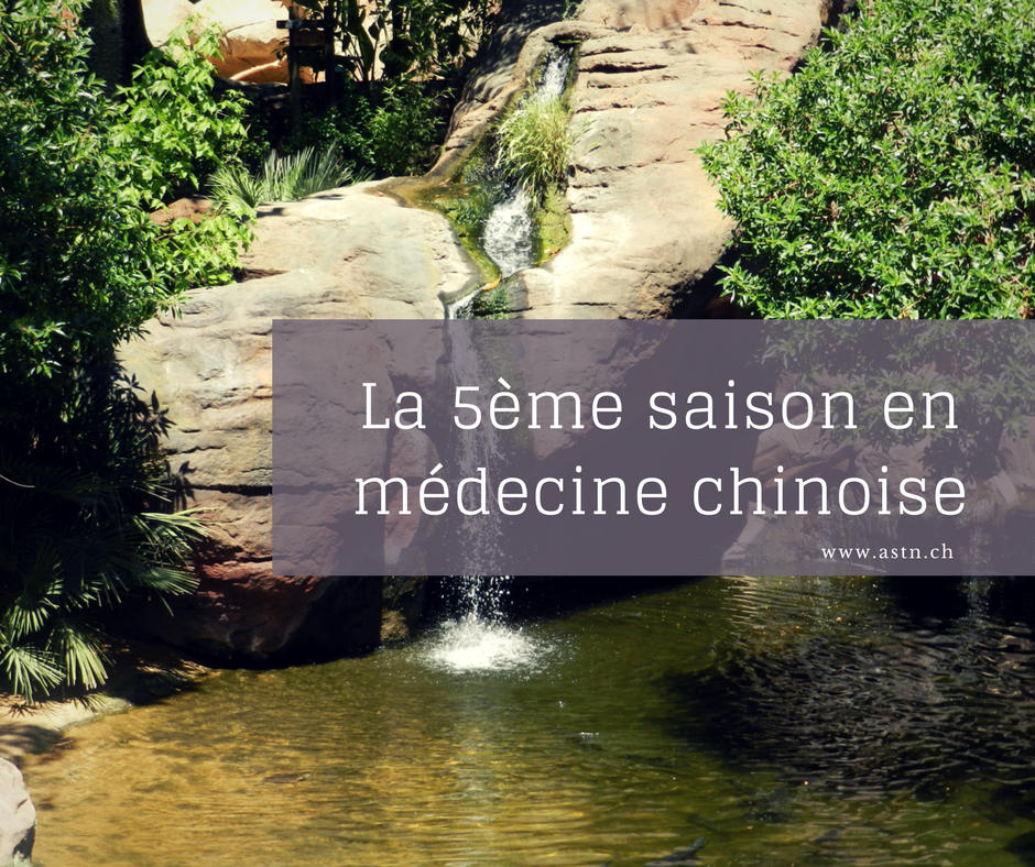 La 5ème saison en médecine chinoise : la rate