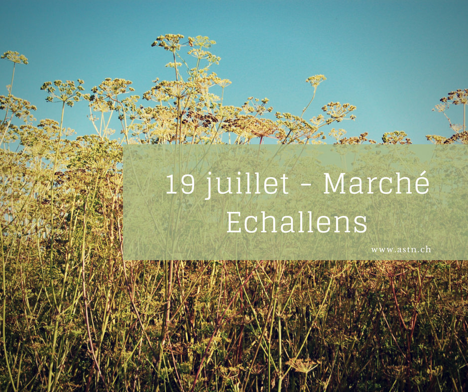 Jeudi 19 juillet 2018 – Marché artisanal Echallens