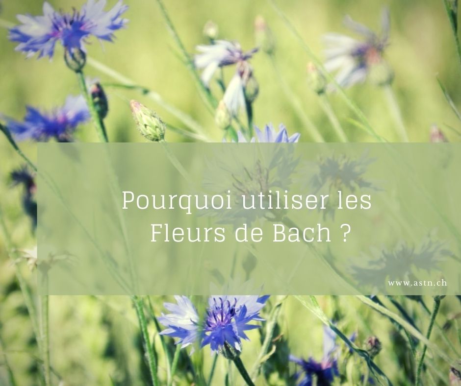 Pourquoi utiliser les Fleurs de Bach