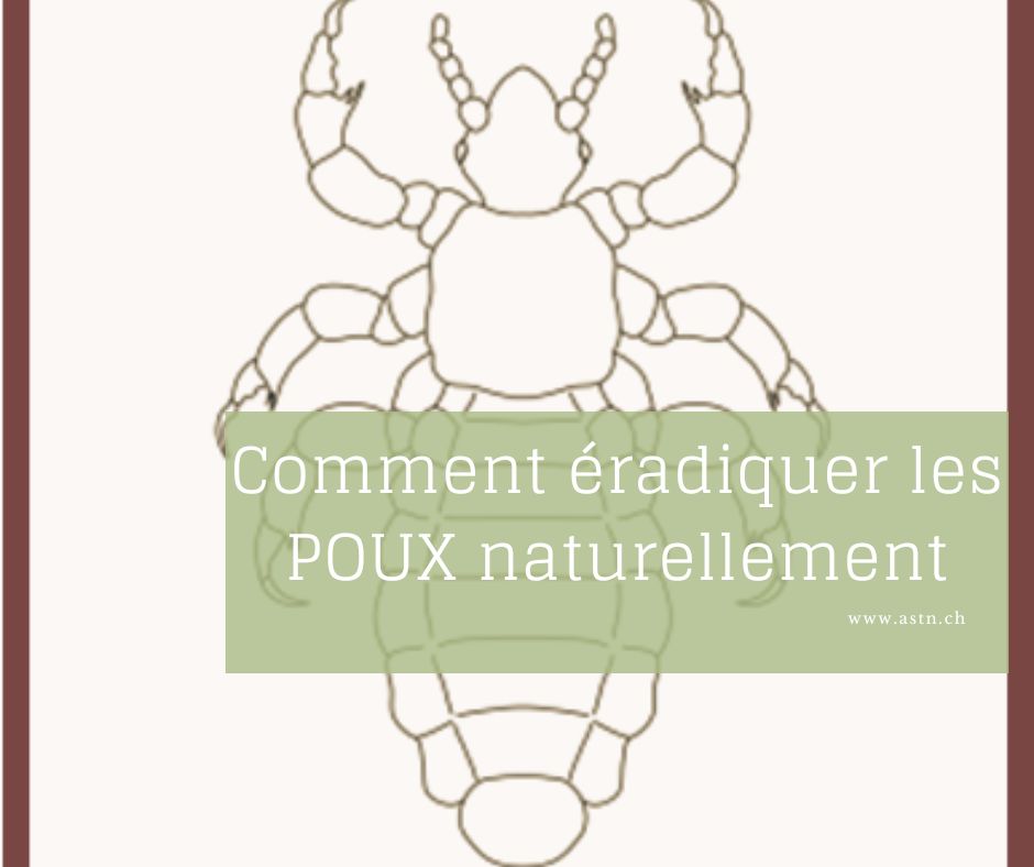 Comment éradiquer les POUX recettes naturelles